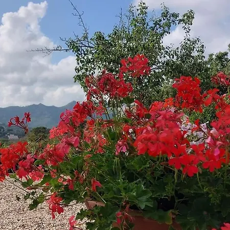 Casa Perla Iridella 펜션 카폴리베리