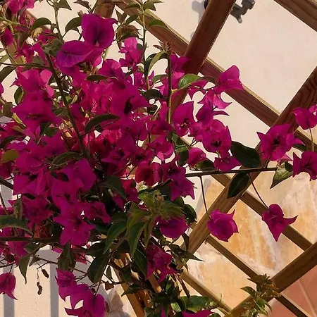 Casa Perla Iridella * 카폴리베리