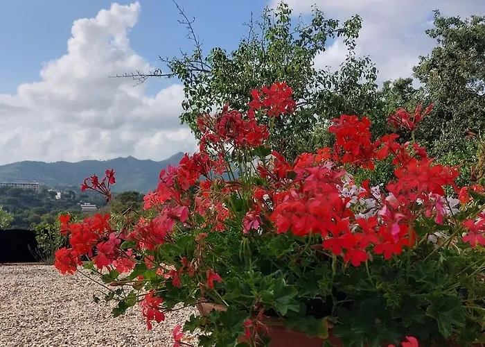 Casa Perla Iridella 펜션 카폴리베리