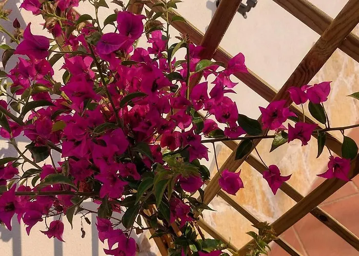 Casa Perla Iridella * 카폴리베리